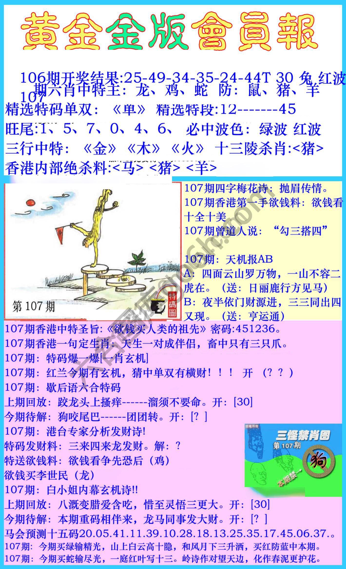 黄金金版会员报