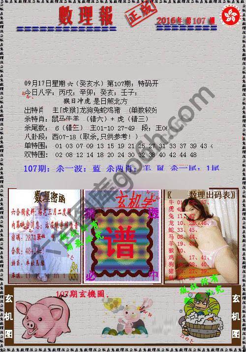 数理报