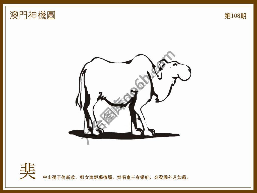 澳门神机图