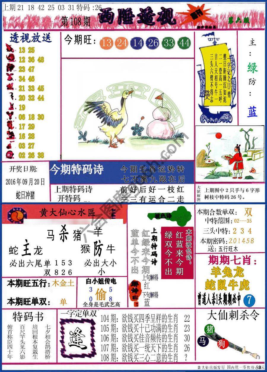 西陲透视（正版）