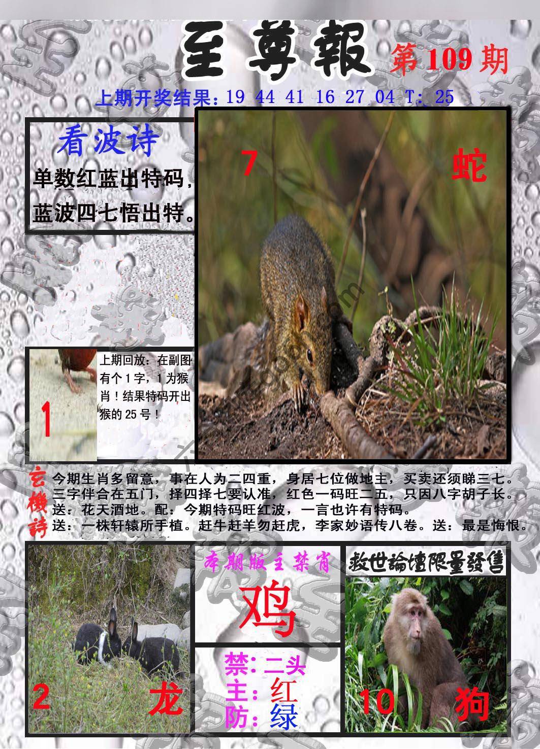 至尊报