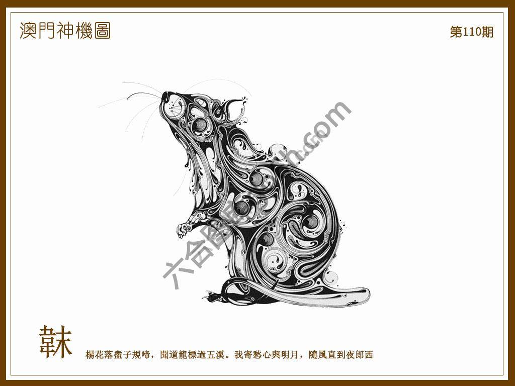 澳门神机图