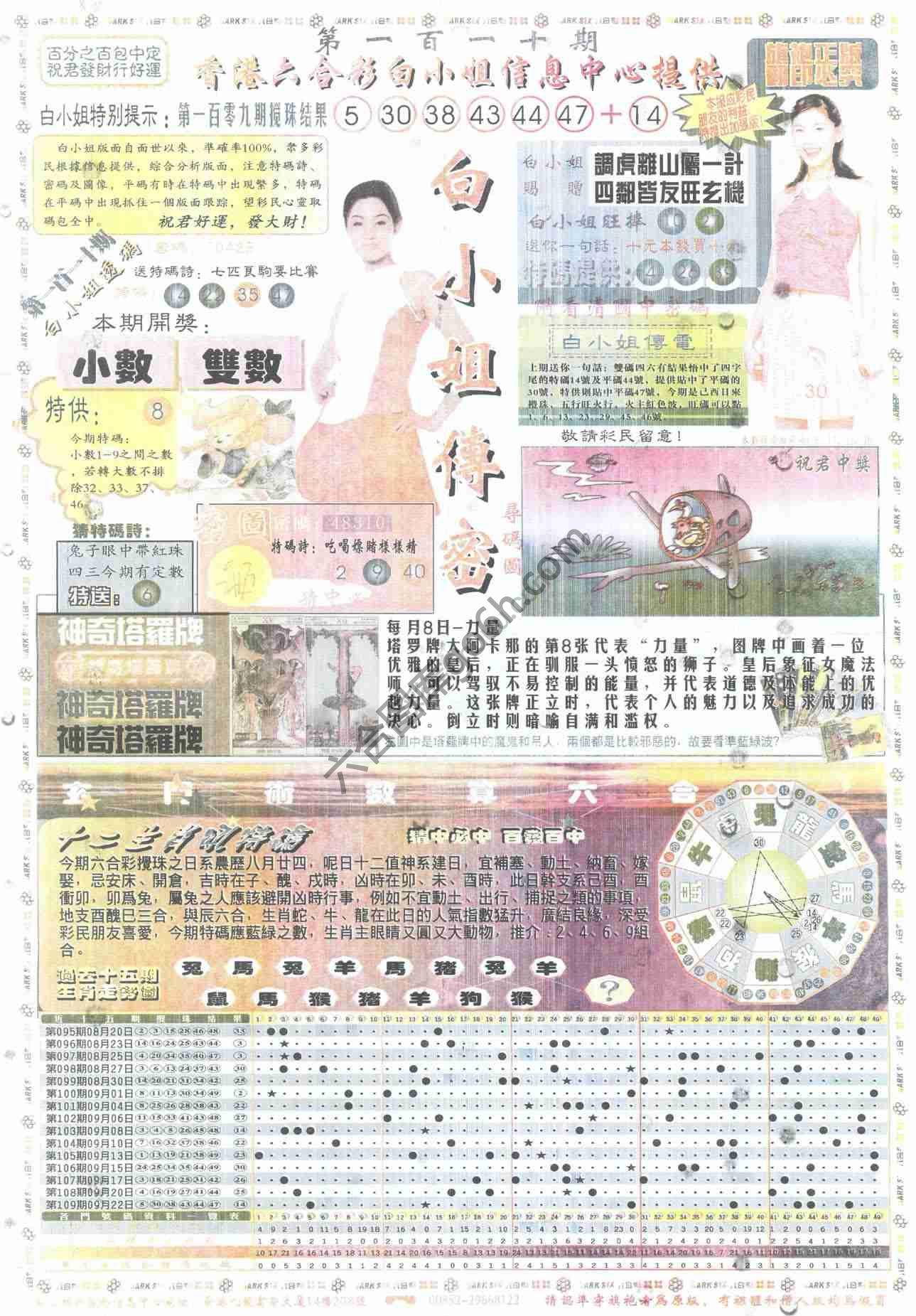 白小姐传密