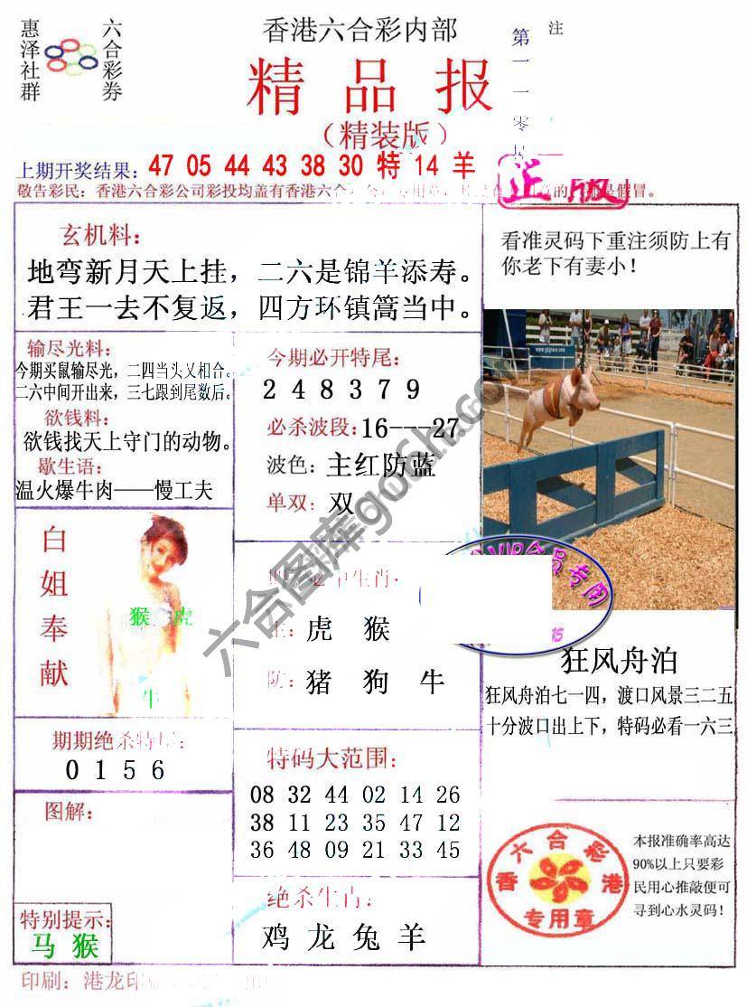 新精品报