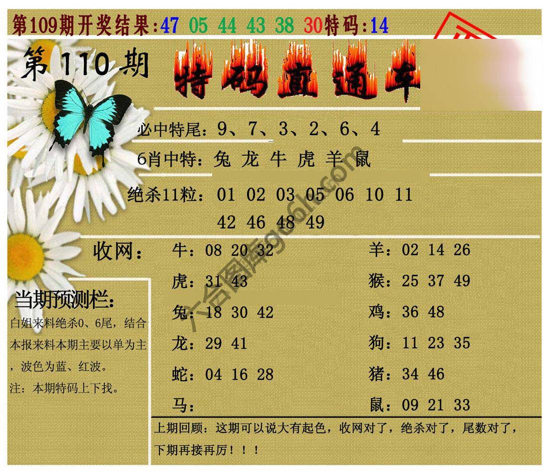特码直通车
