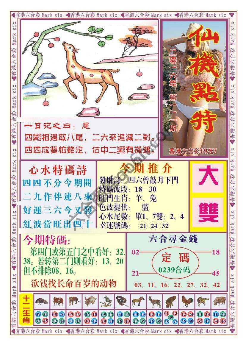 仙机点特