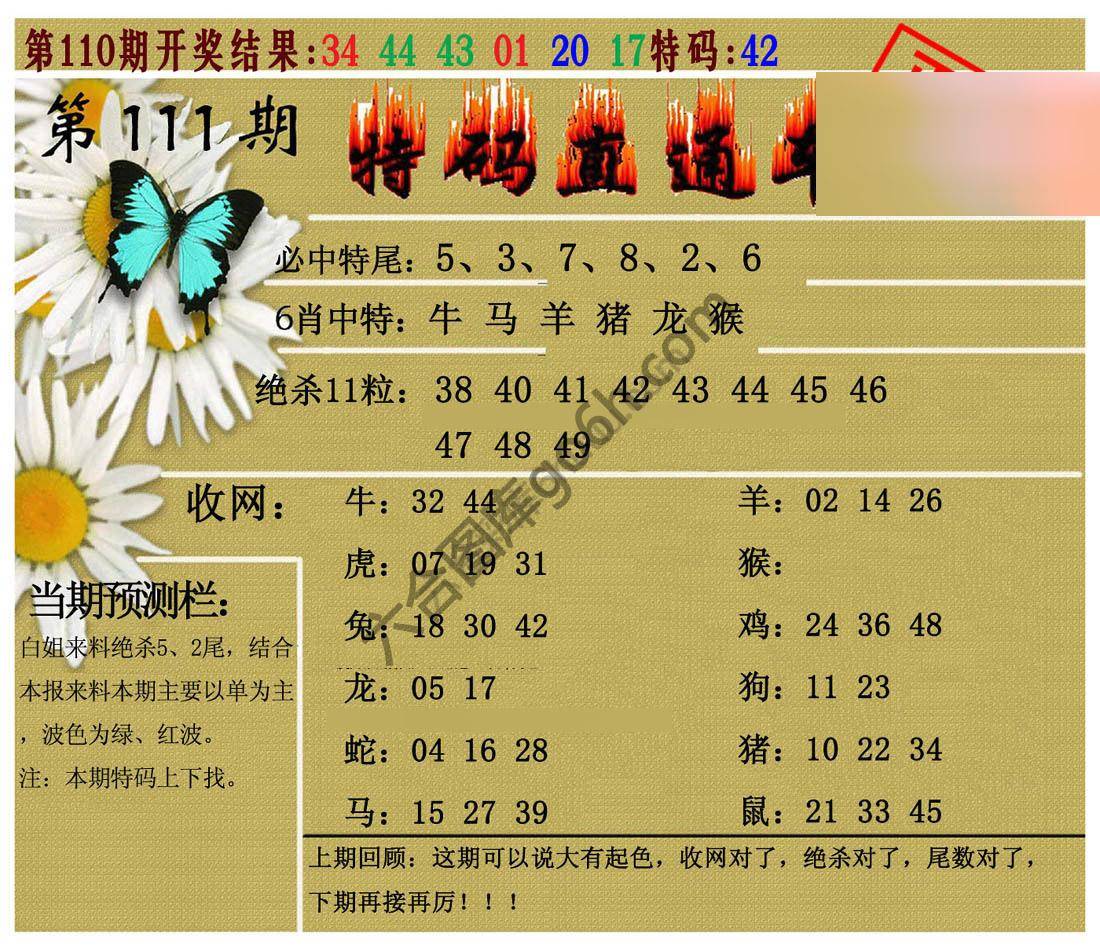 特码直通车