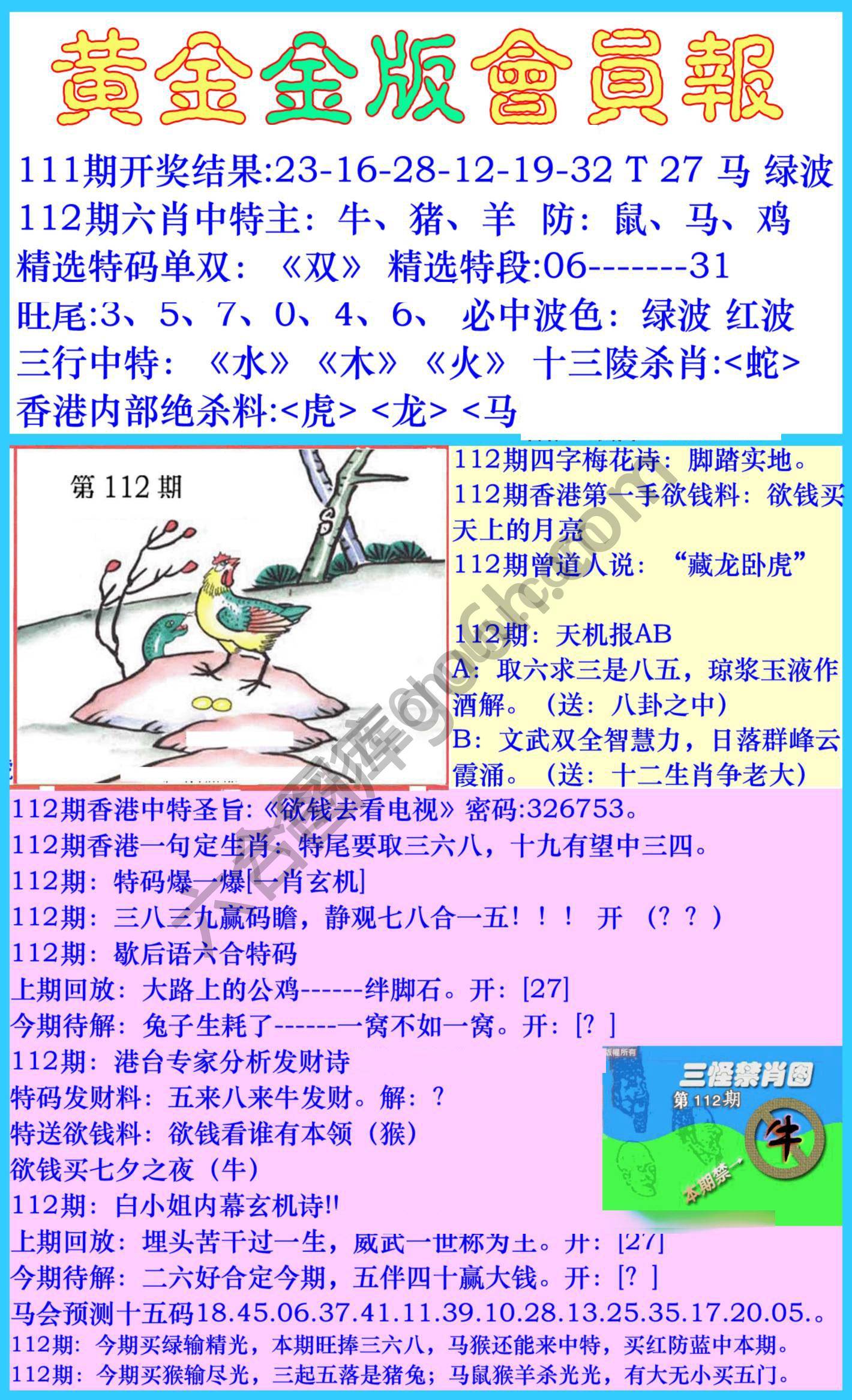 黄金金版会员报
