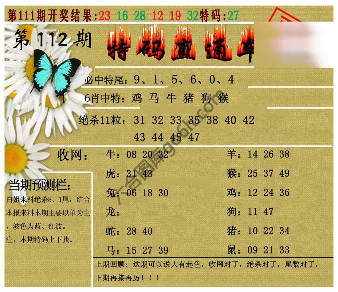 特码直通车