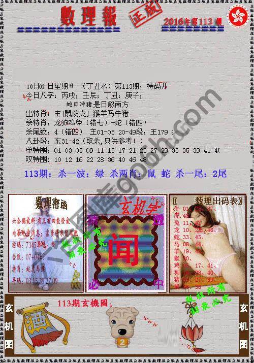 数理报