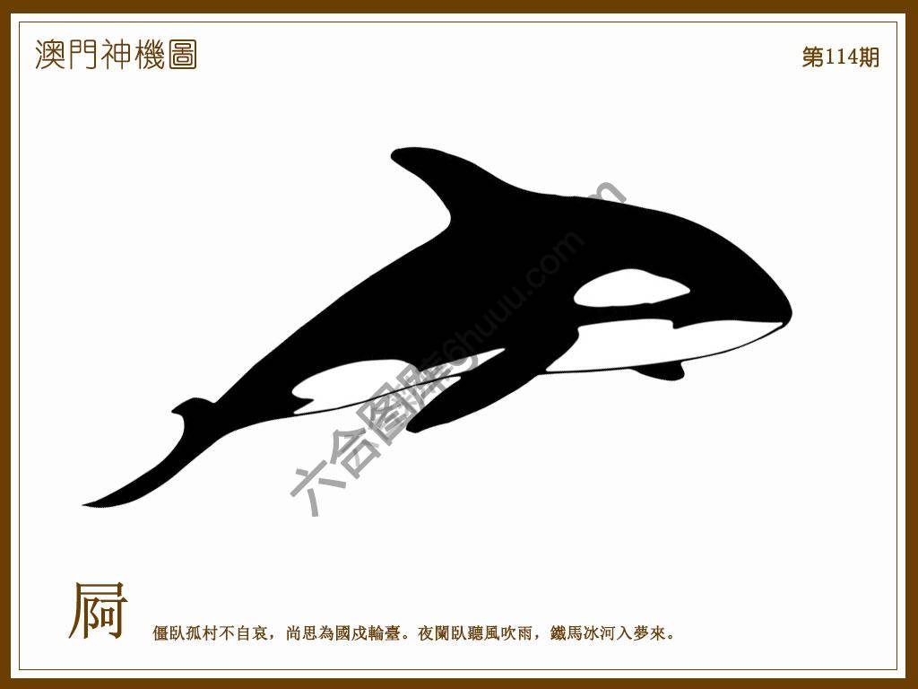 澳门神机图