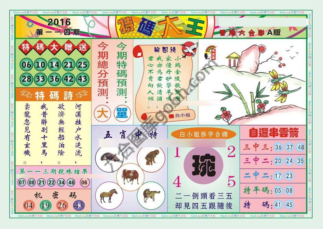 特码大王