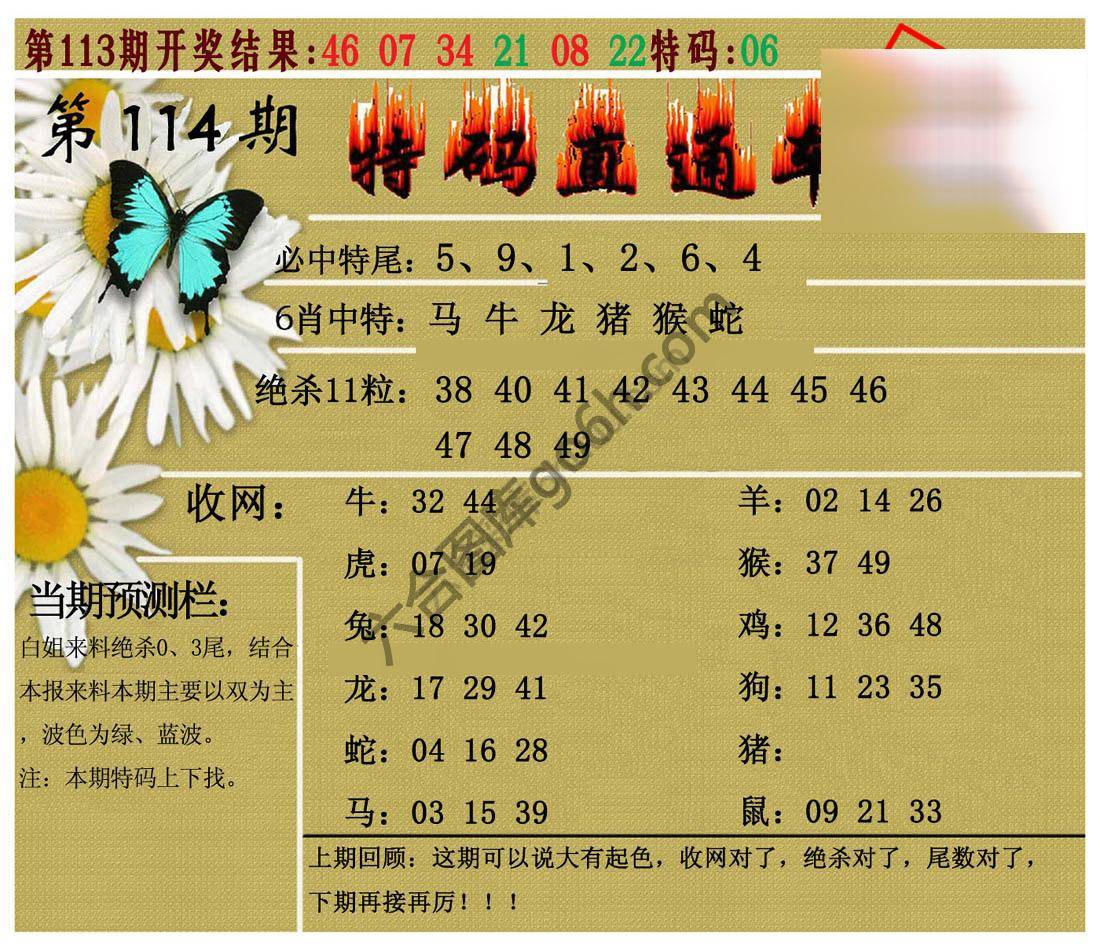 特码直通车