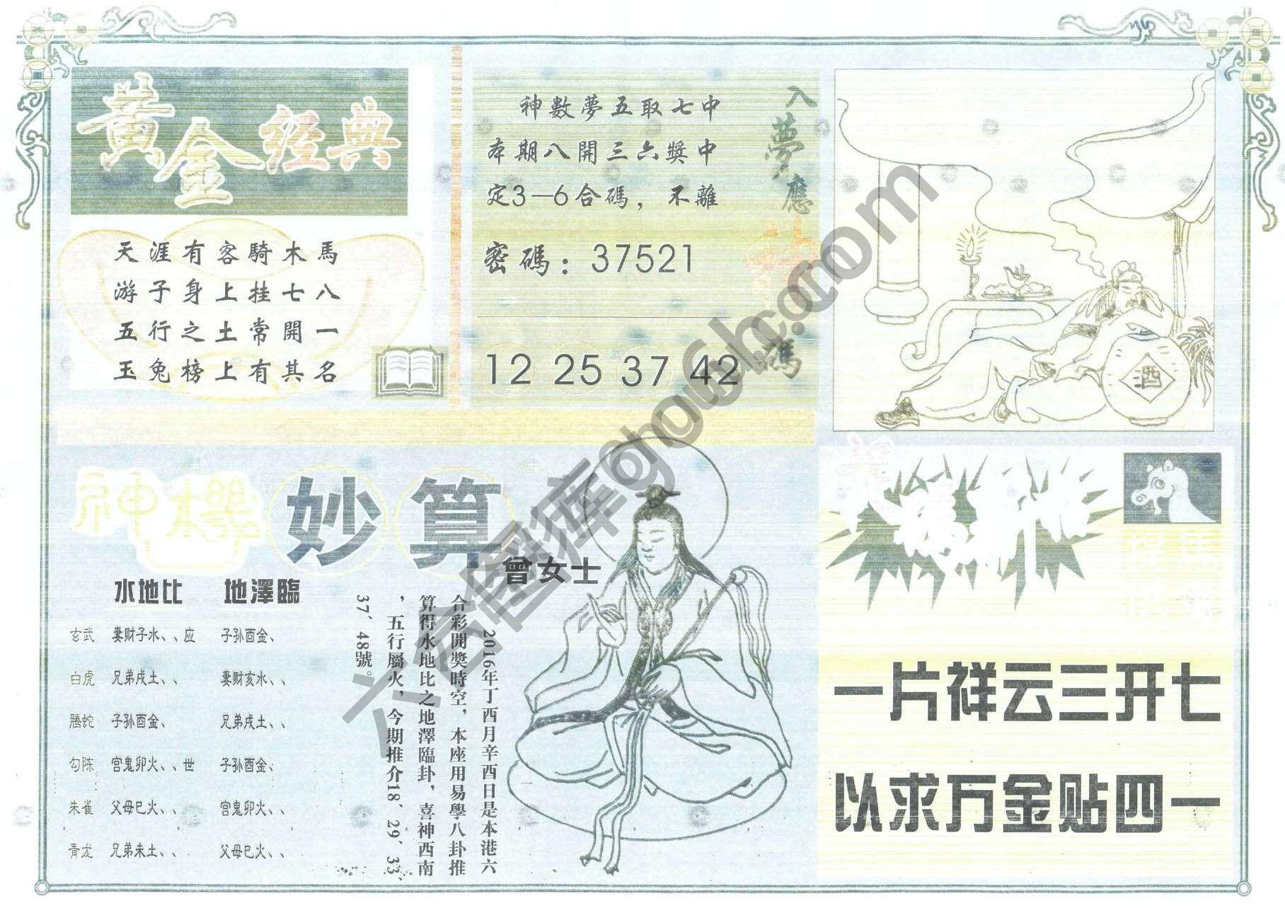 老版曾女士