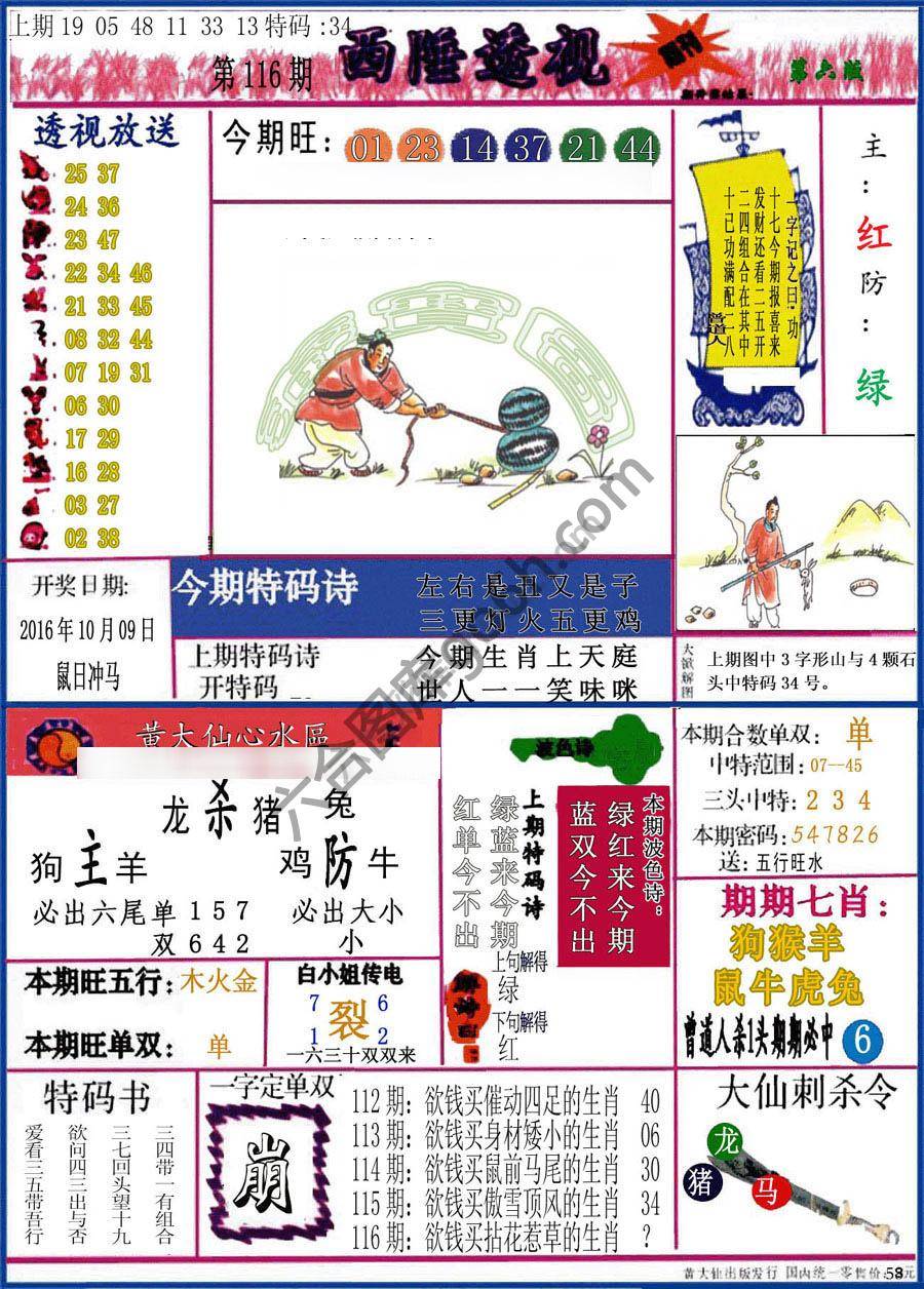 西陲透视（正版）
