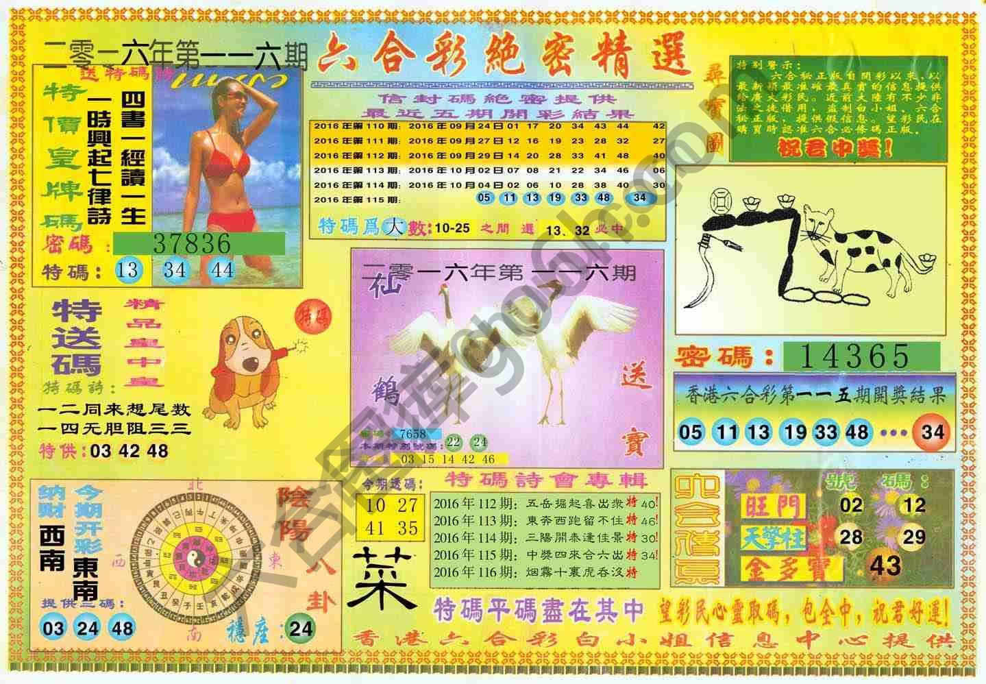 六合彩绝密精选