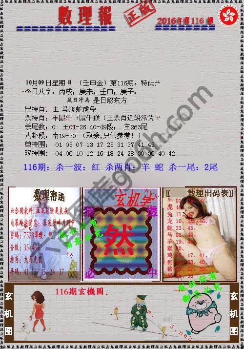数理报