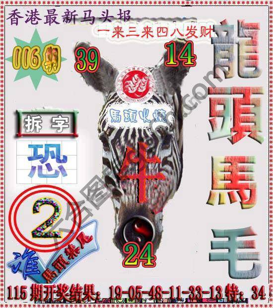 香港马头报
