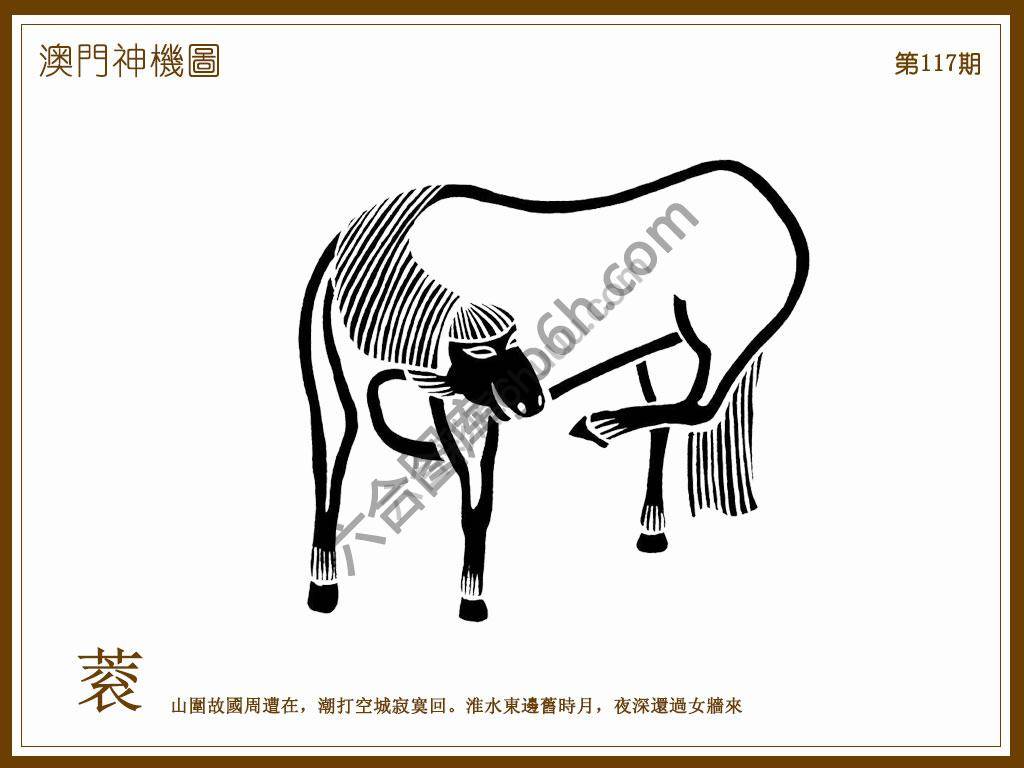 澳门神机图