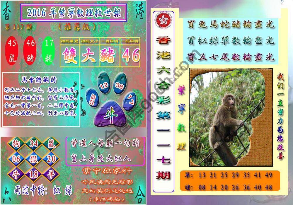 数理救世报