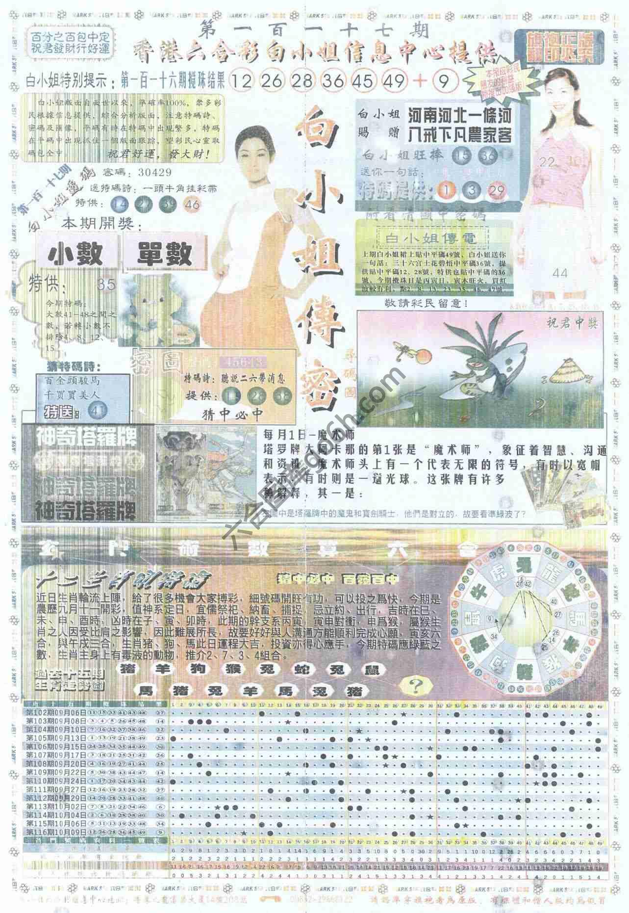 白小姐传密