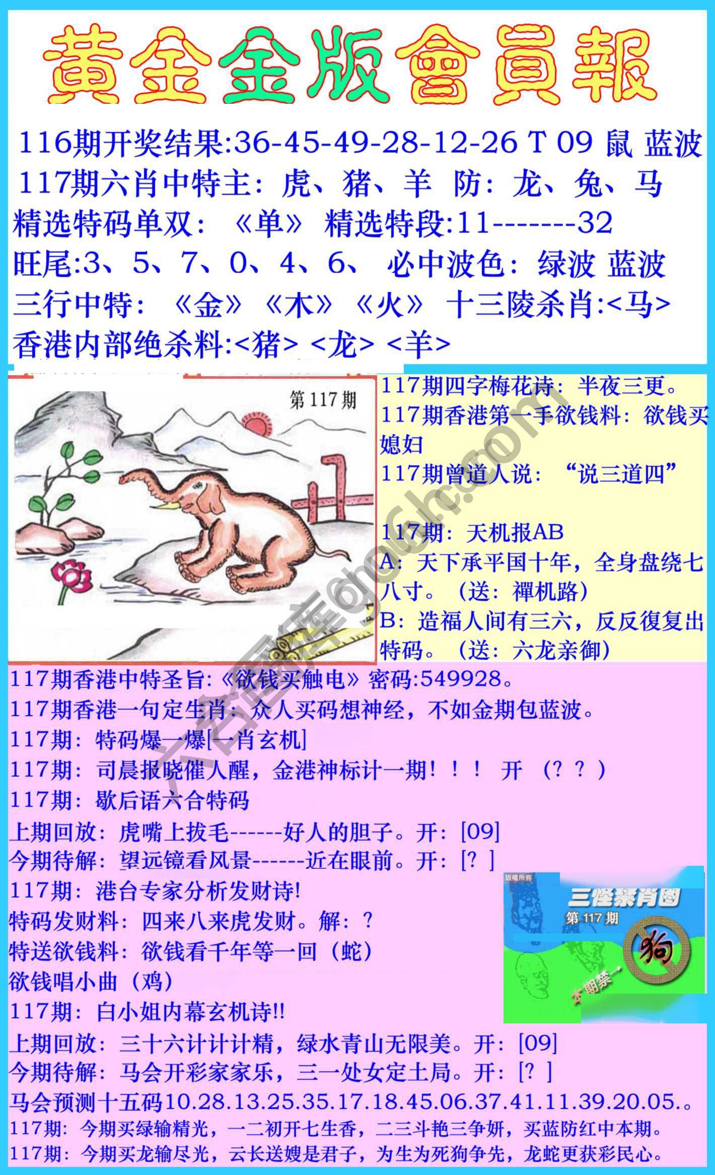 黄金金版会员报