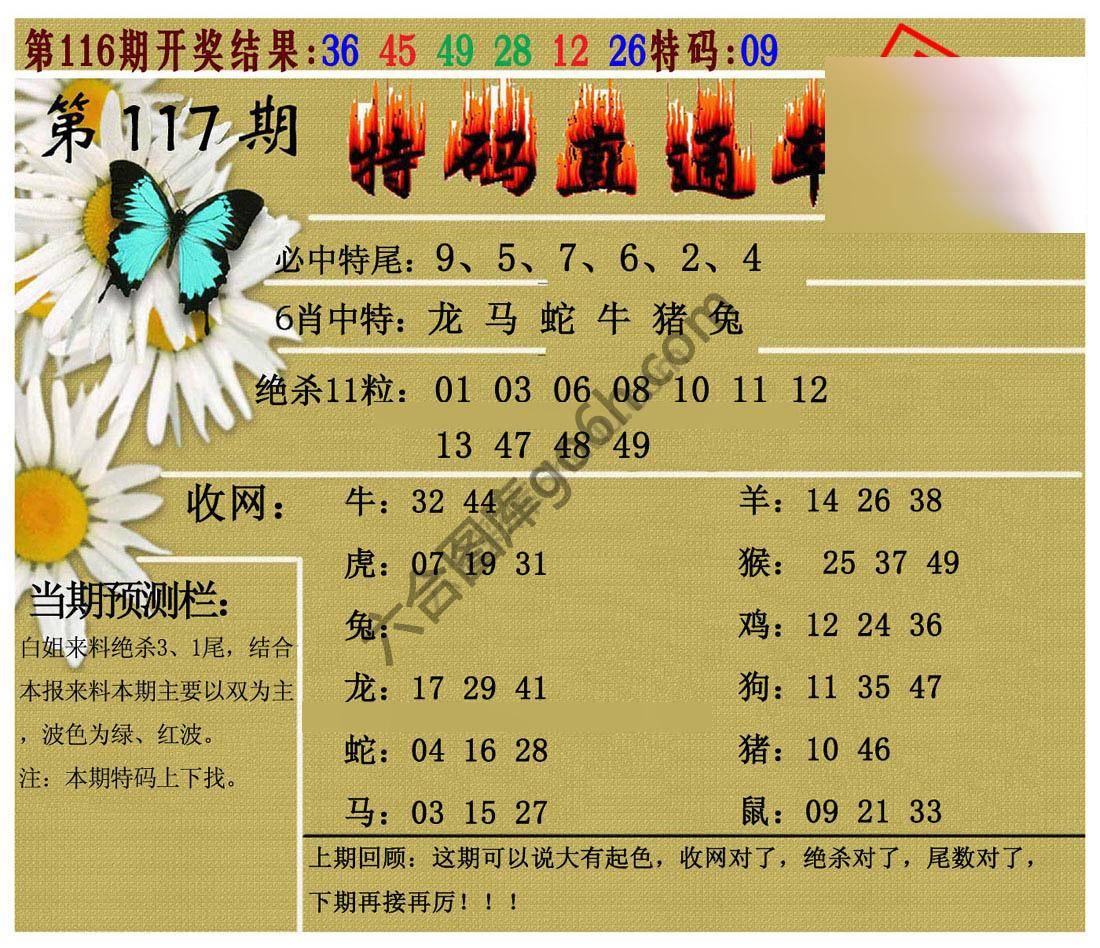 特码直通车