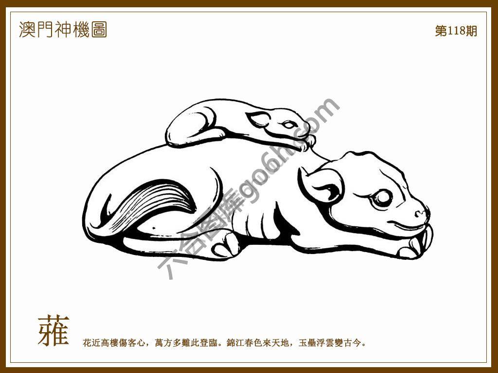 澳门神机图