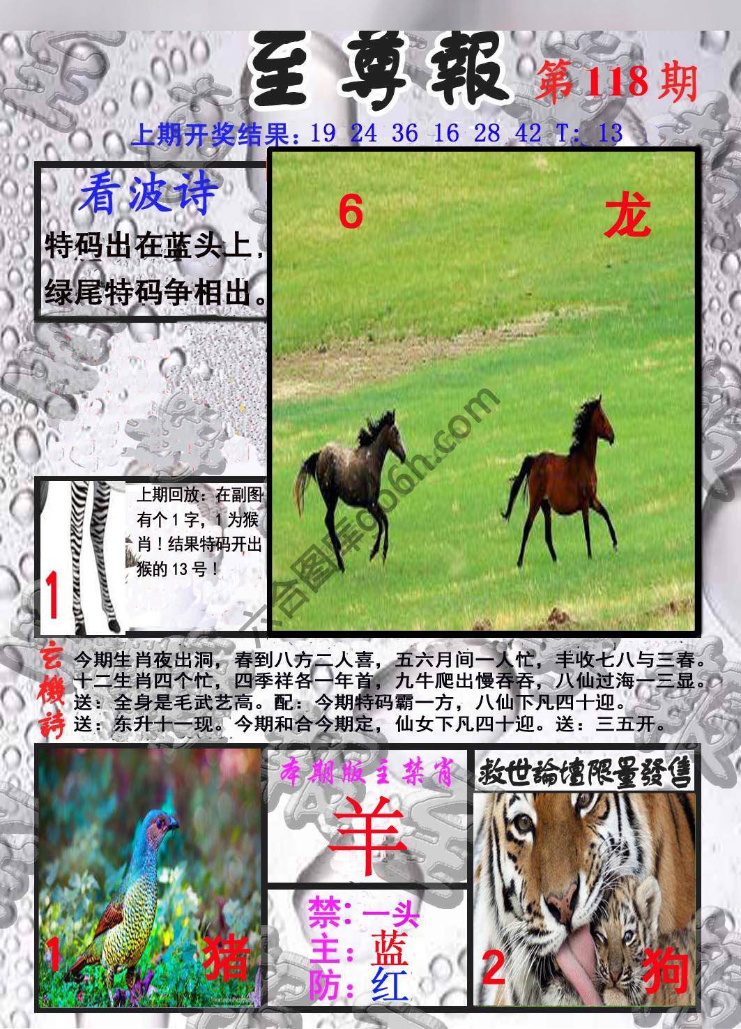 至尊报