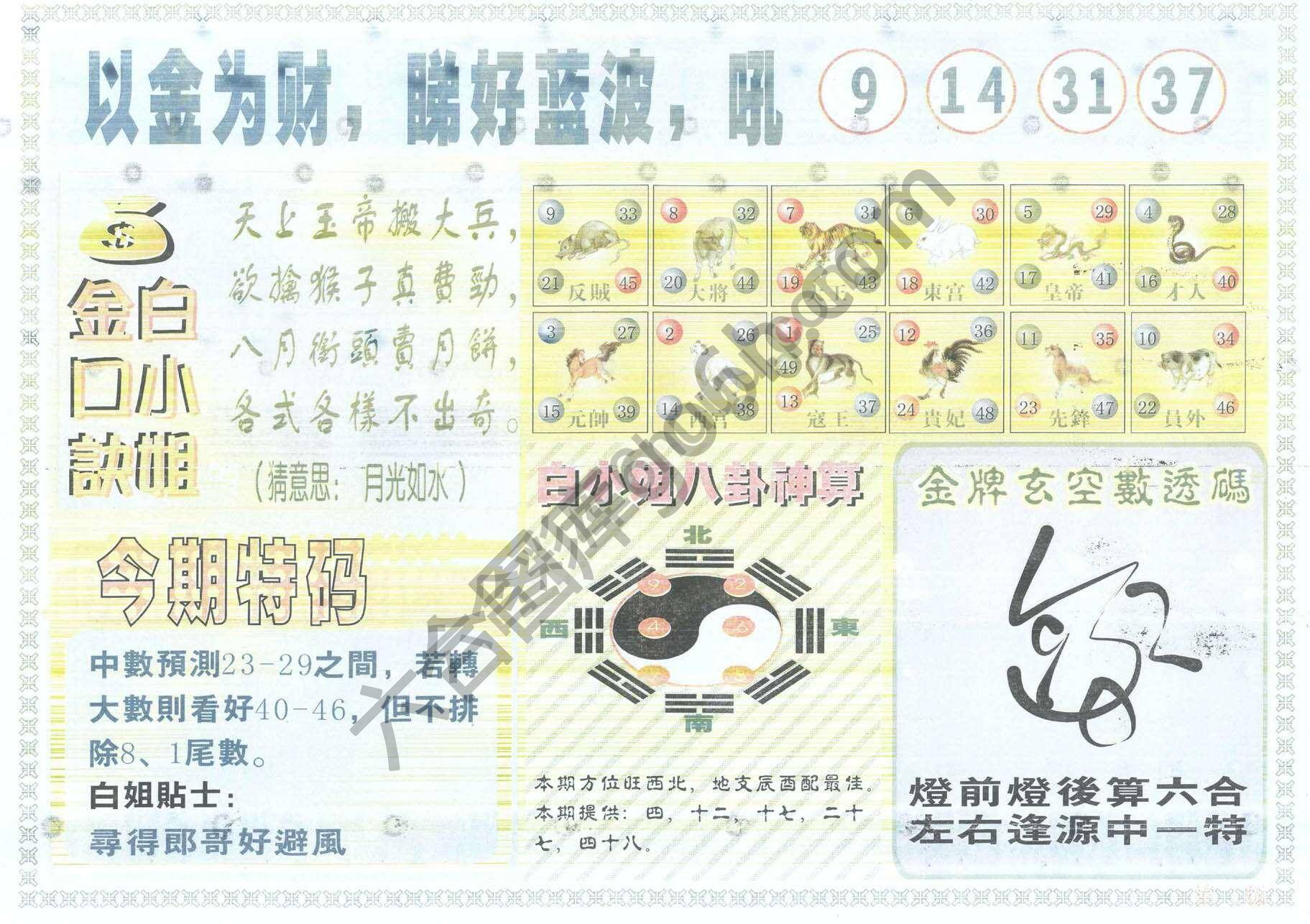 白姐内幕