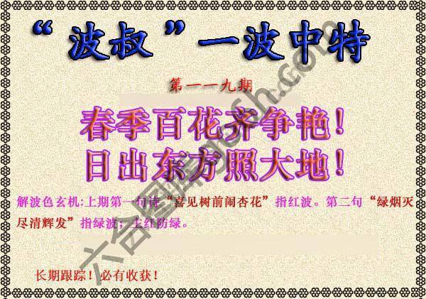 波叔一波中特