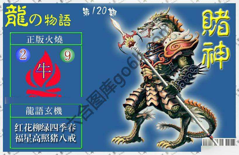 赌神龙报
