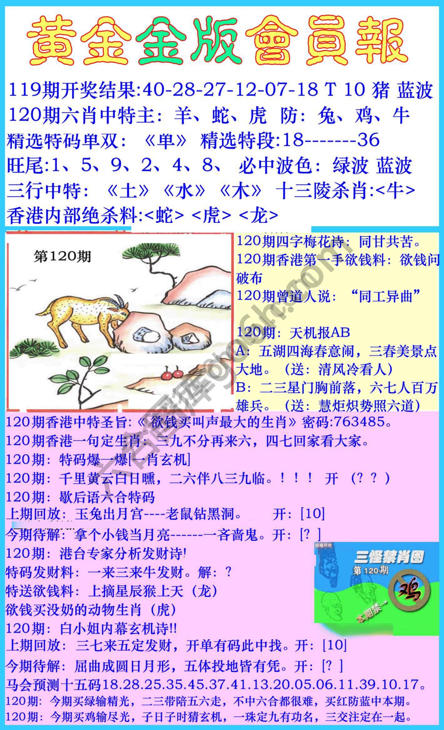 黄金金版会员报
