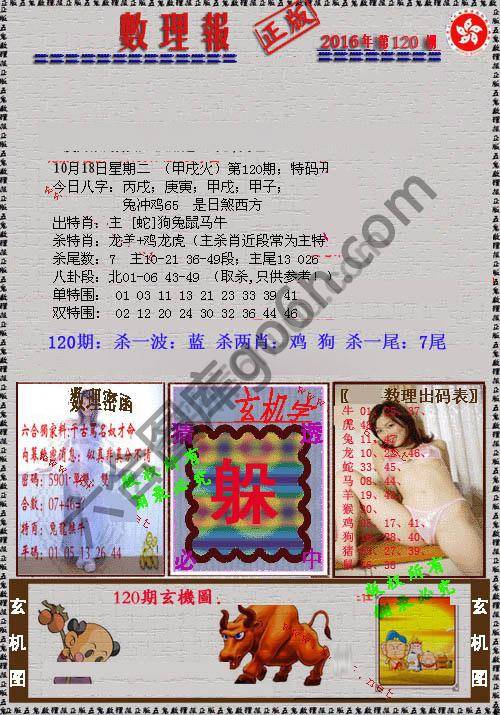 数理报