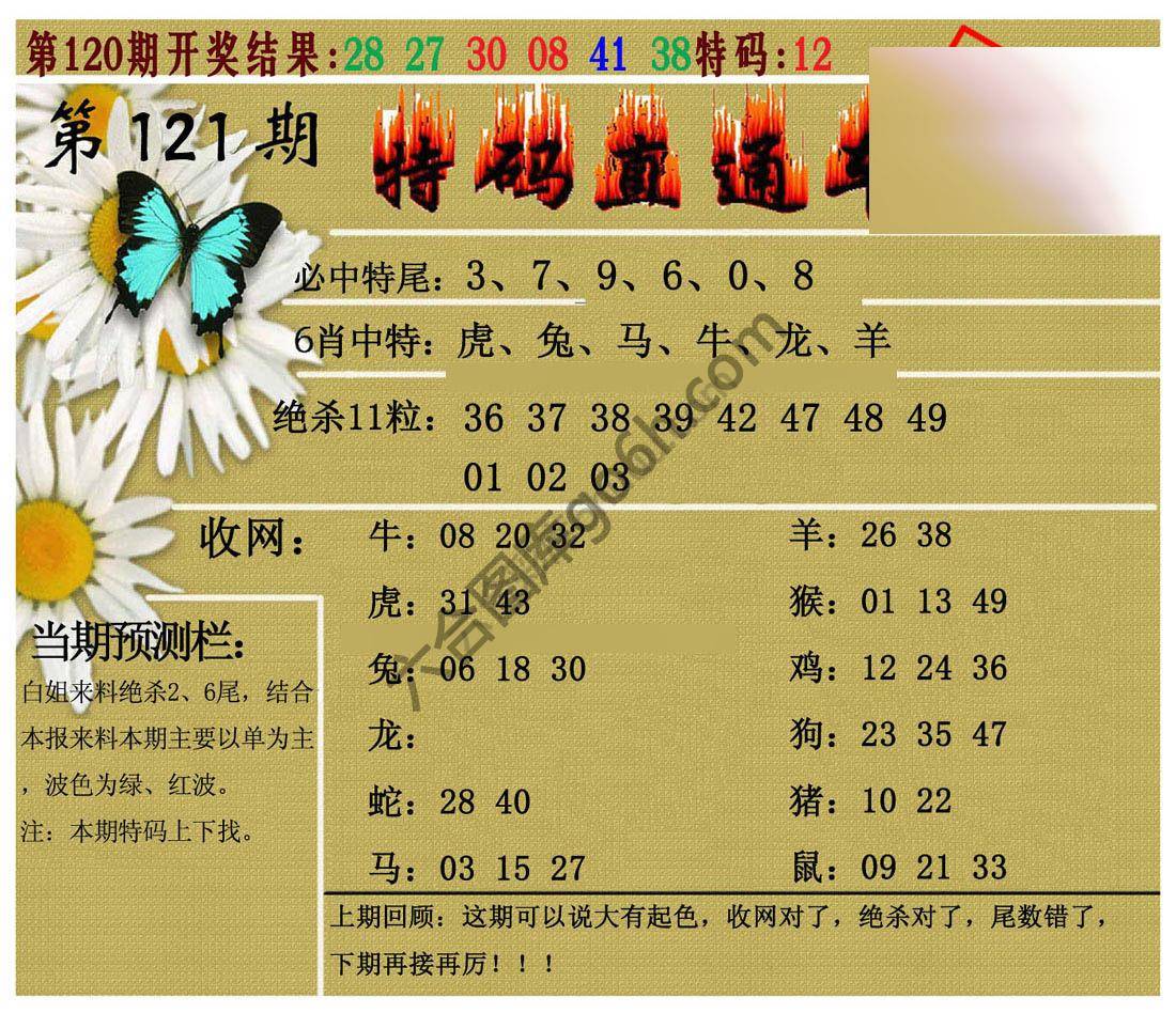 特码直通车
