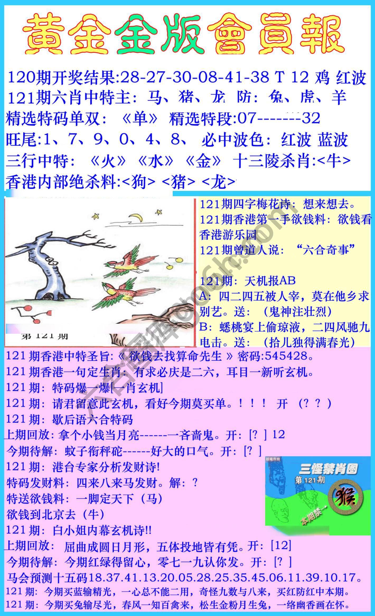 黄金金版会员报