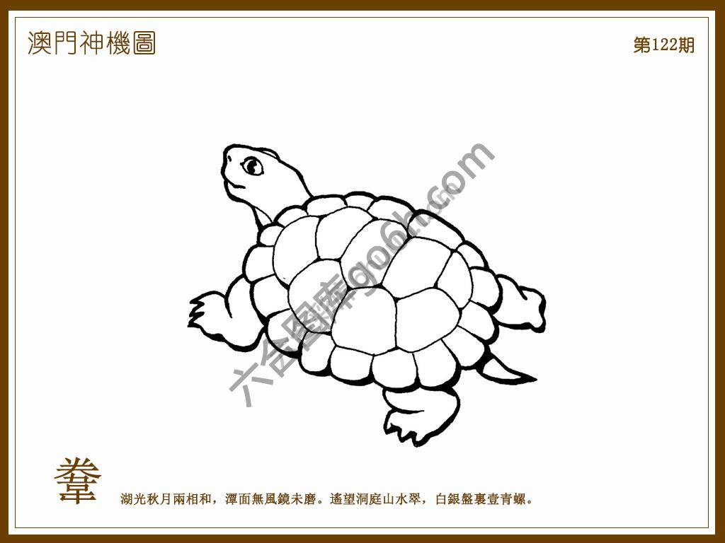 澳门神机图
