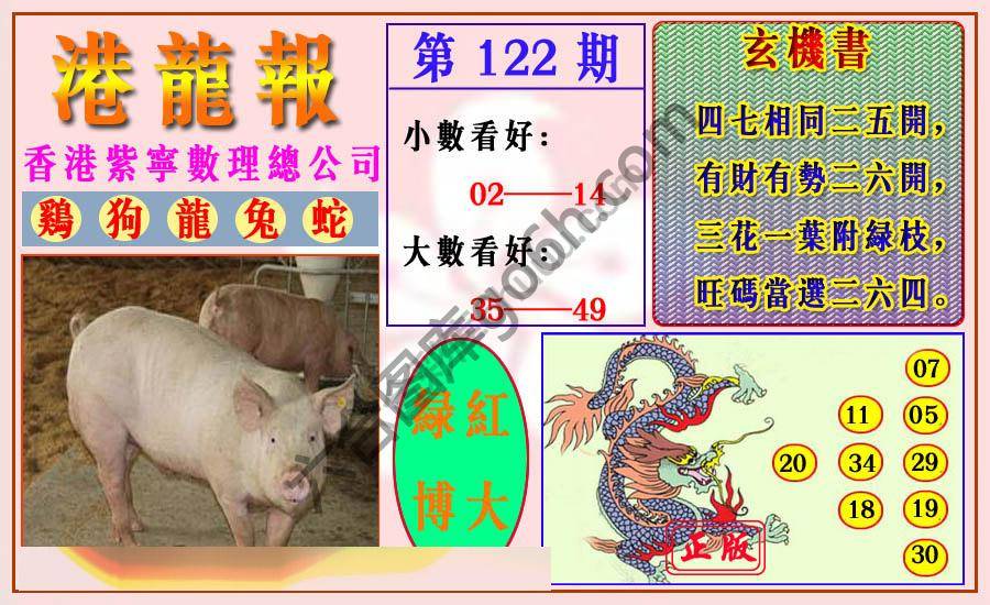 港龙报