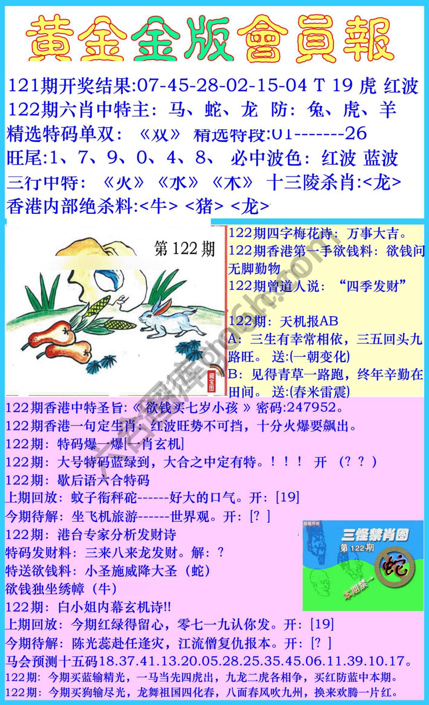 黄金金版会员报