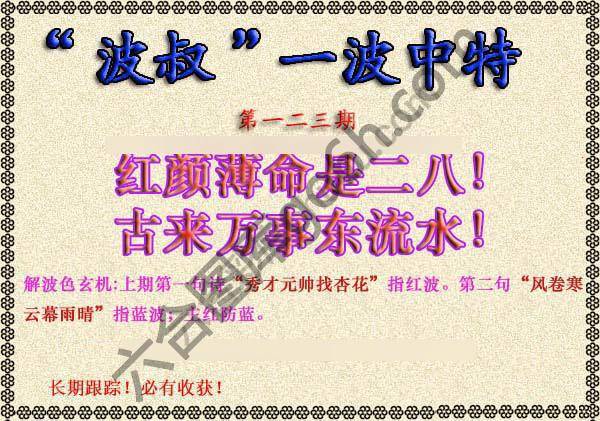 波叔一波中特