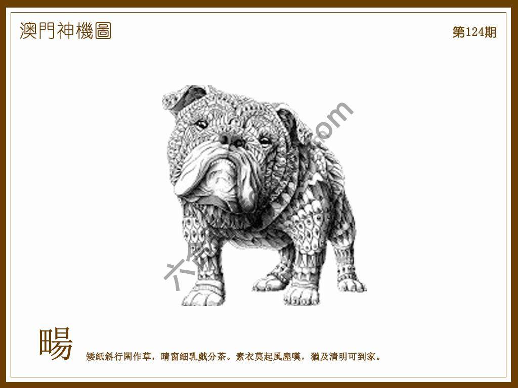 澳门神机图