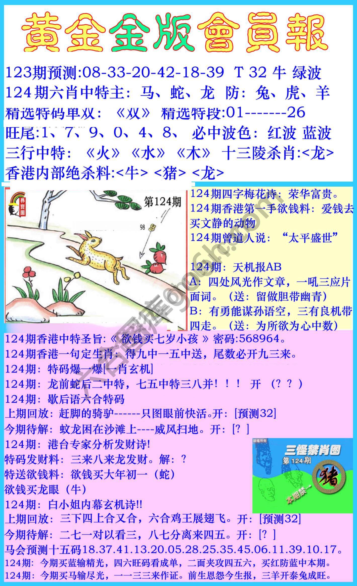 黄金金版会员报