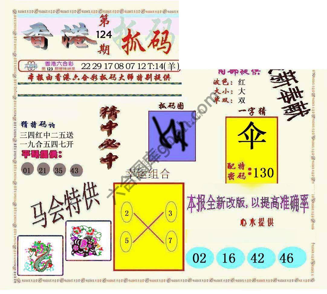 新抓码王