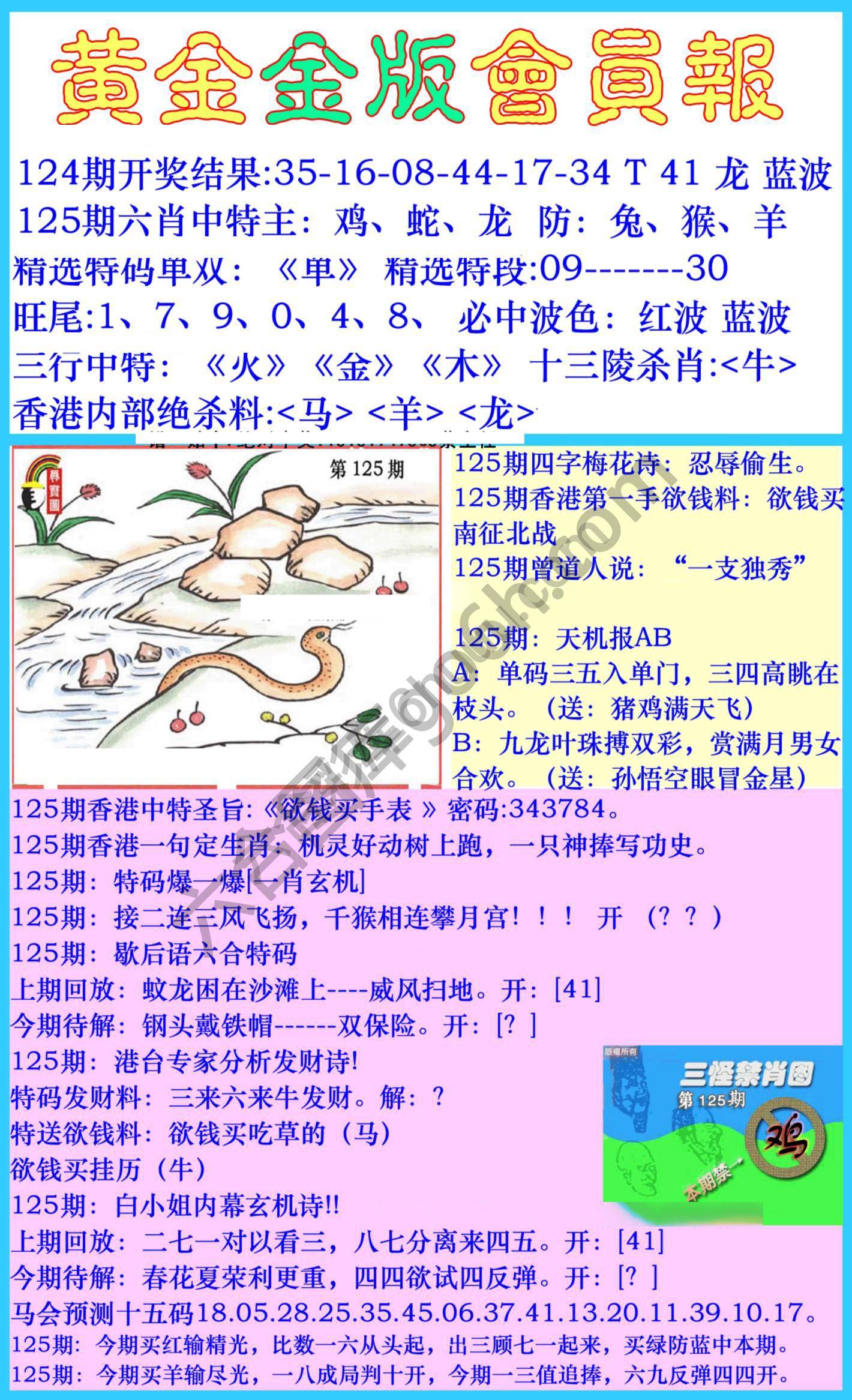 黄金金版会员报