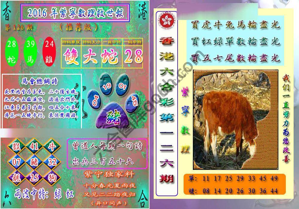 数理救世报