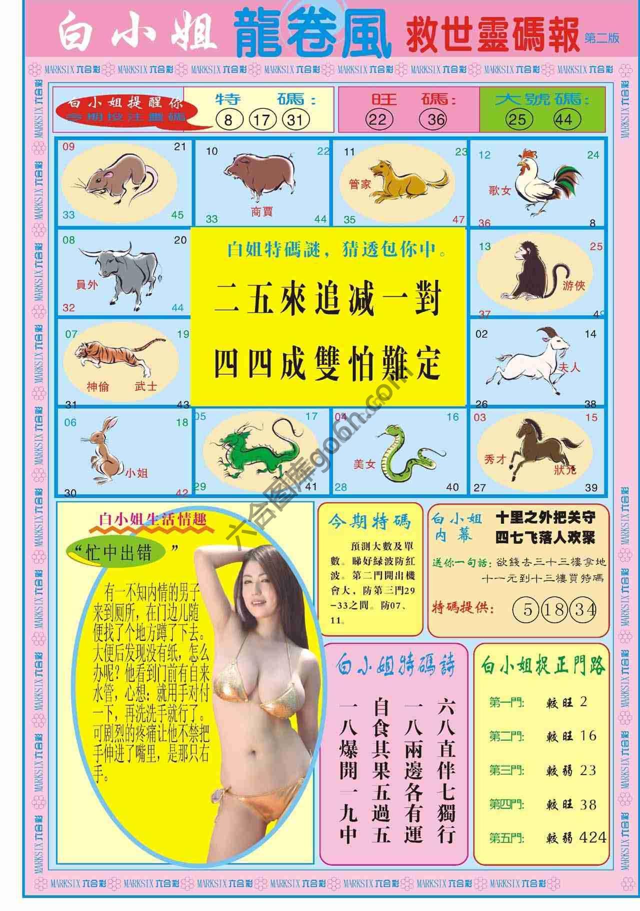 白小姐救世灵码报