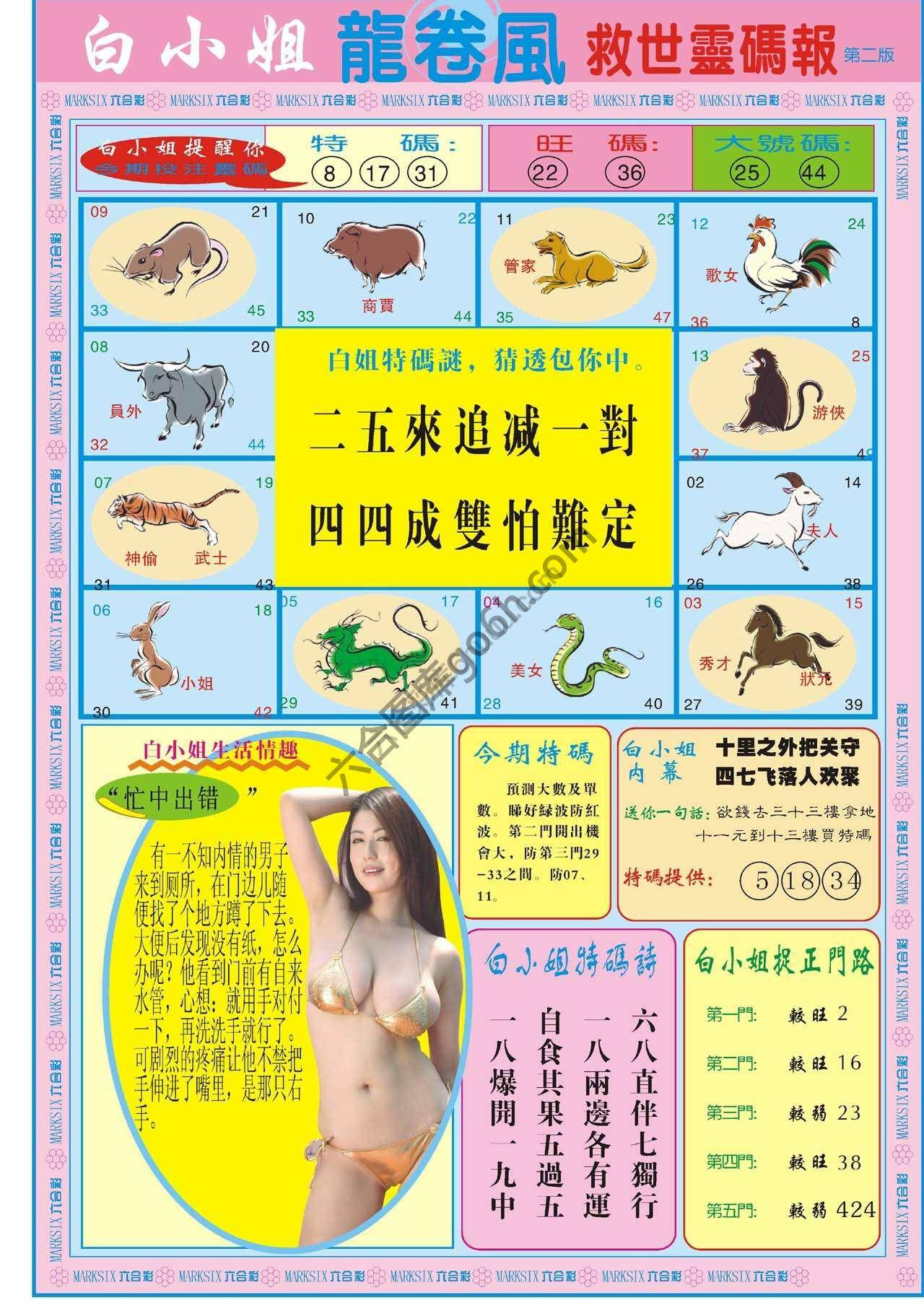 白小姐龙卷风