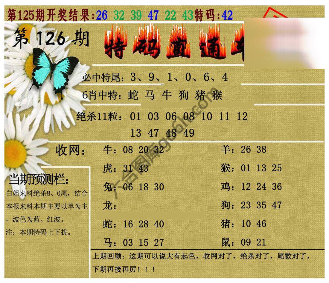 特码直通车