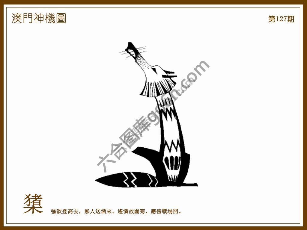 澳门神机图