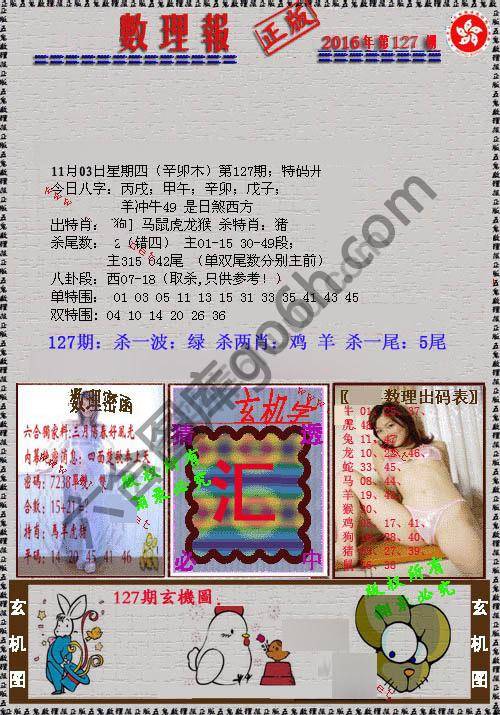 数理报